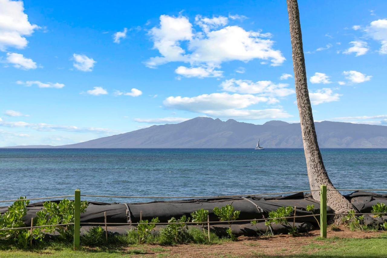 Kahana Incredible Beachfront 1Br - Sleeps 4 Awesome Location And In The Center Of Restaurants Many Beaches Golf And More 빌라 외부 사진
